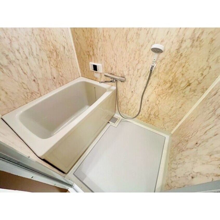  レジーナマルフク