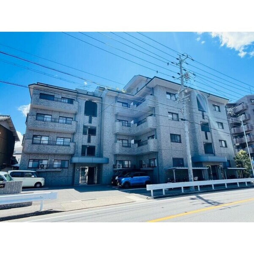  レジーナマルフク