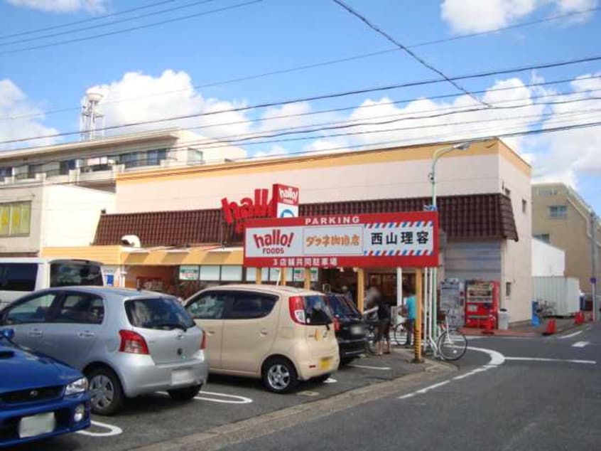 ハローフーヅ中根店まで257ｍ Ｔ．コオリナ