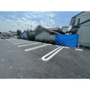  SAKYO (サキョウ) 6