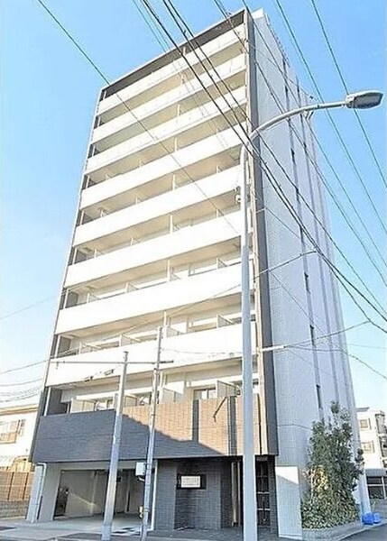  パルティール並木