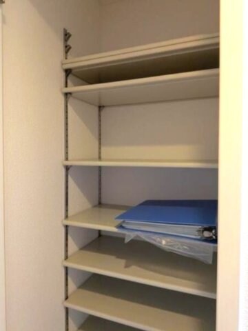  パルティール並木