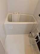  パルティール並木