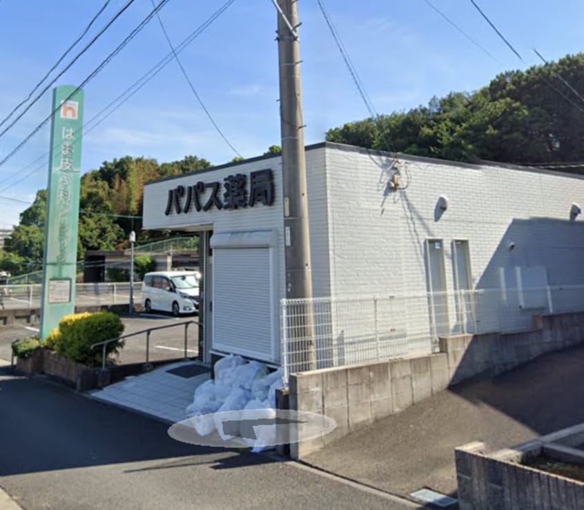 パパス薬局(ドラッグストア)まで189m 名鉄河和線/南加木屋駅 徒歩20分 2階 築29年