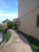  ヒルズ向イ山