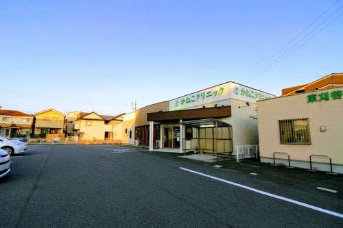 かねこクリニック(病院)まで524m アイ・セジュール