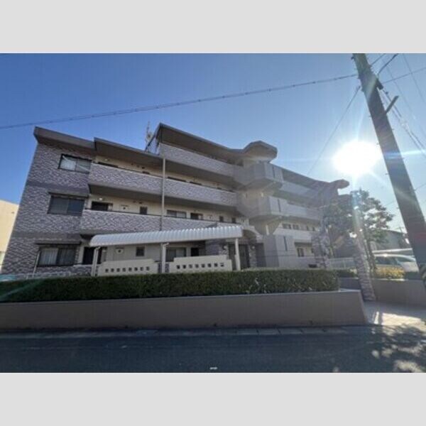  リトルアイランド(V)