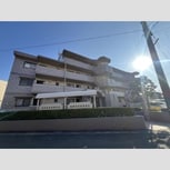 リトルアイランド(V)