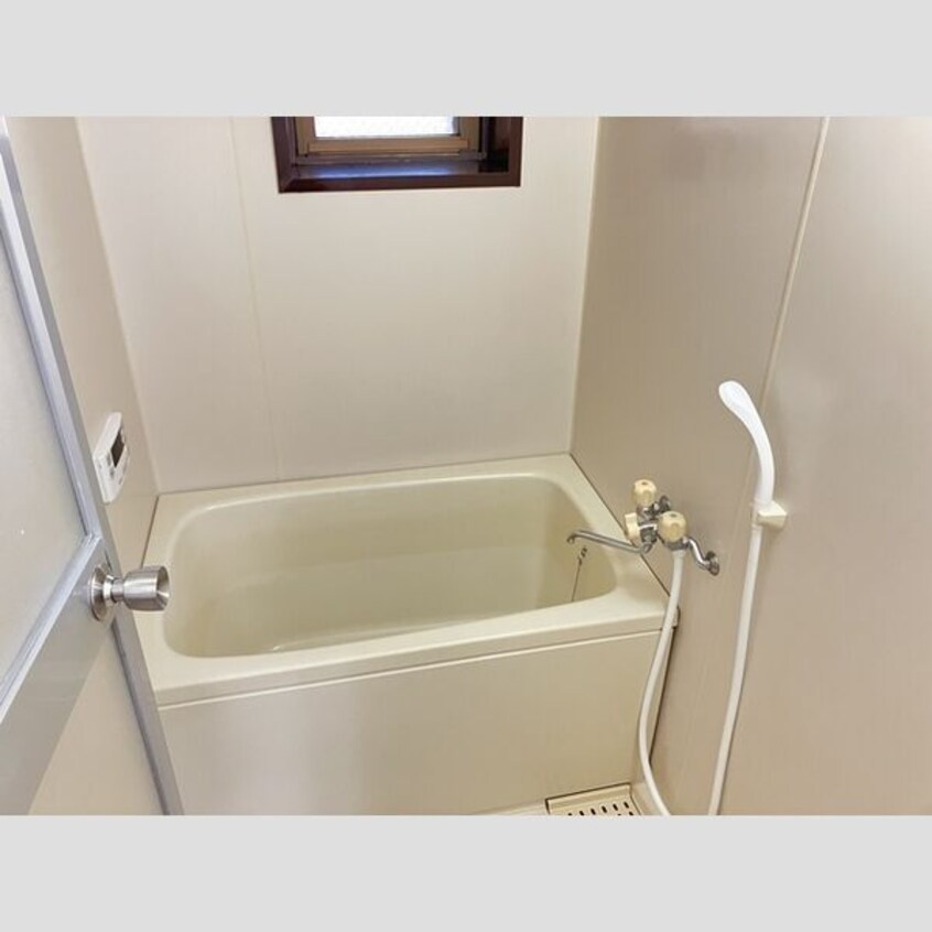 室内写真は別部屋の写真です。 リトルアイランド(V)