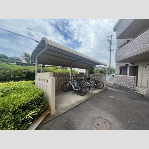  リトルアイランド(V)