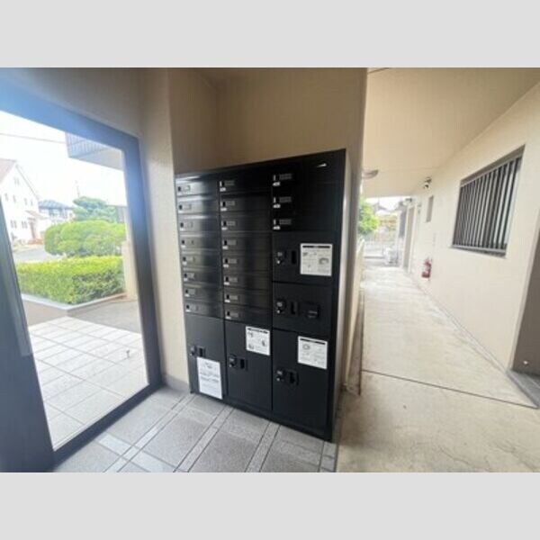  リトルアイランド(V)