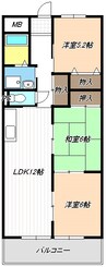 陽明ハイツ 3LDKの間取り