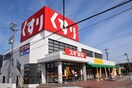 スギ薬局 名和店まで1100m ファミ－ルＳ　Ⅰ