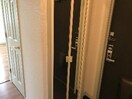 玄関（イメージ） ナミアピア