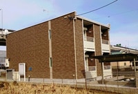 レオネクストグリーン