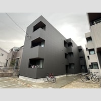 Warren nakashiotaⅦ
