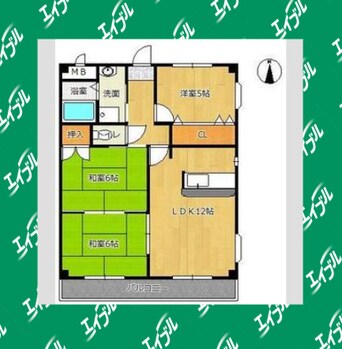 間取図 ビラ葉池