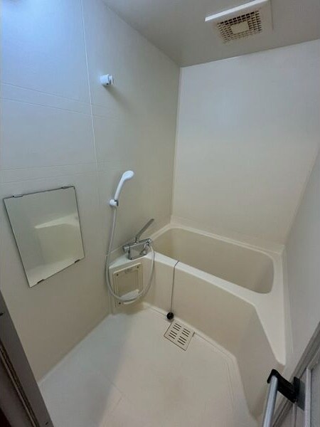  フォルトゥーナ荒畑