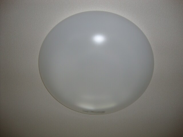 照明 ブルーローズ