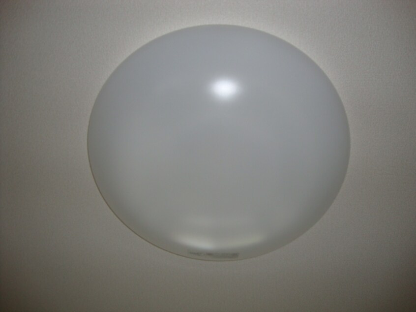 照明 ブルーローズ