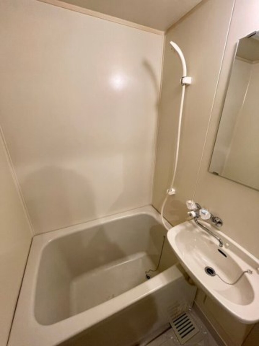 落ち着いた空間のお風呂です セピアパレスＴＡＫＥＭＩ
