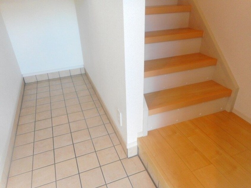  ブランシュシュ