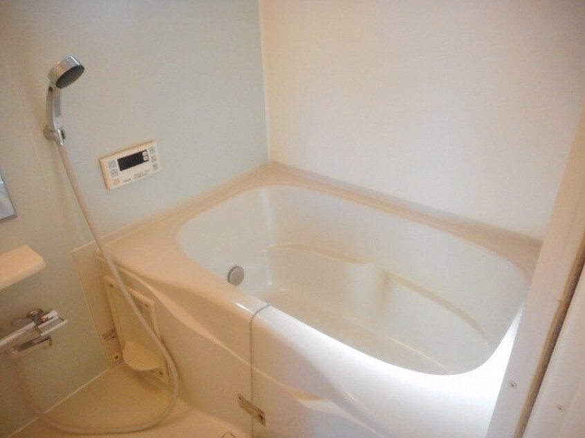  ブランシュシュ