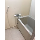  ピア葵
