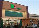 ドミー 東浦店(スーパー)まで153m Garage House 森岡　(電動シャッター付ガレージ戸建賃貸)