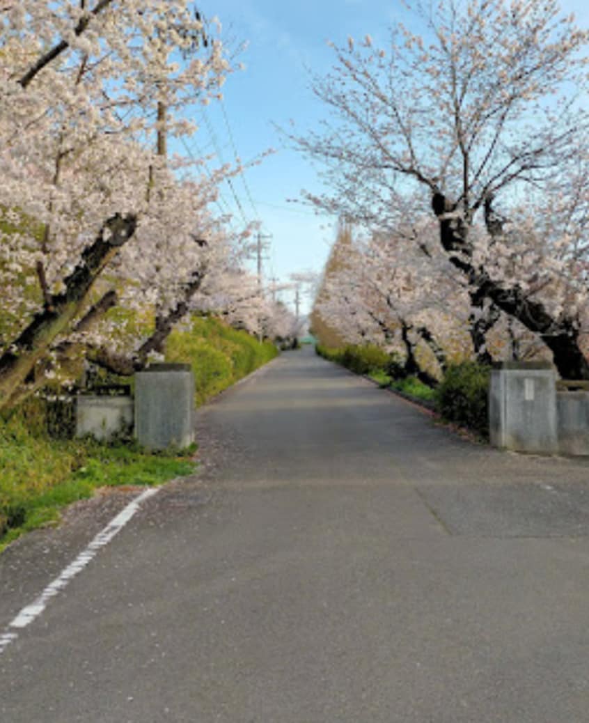 大府市立大府中学校(中学校/中等教育学校)まで665m Ma　Maison　Momoyama