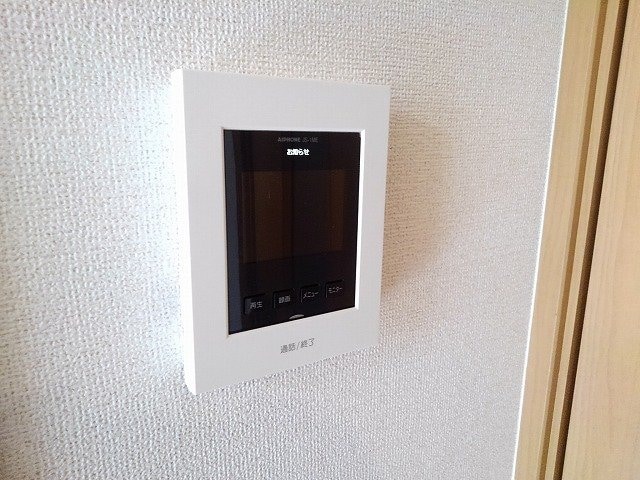  プラシード