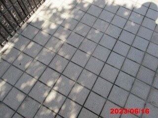  名古屋市営地下鉄鶴舞線/御器所駅 徒歩5分 1階 築20年