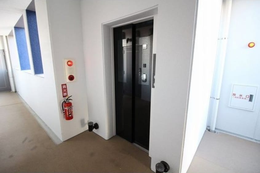  ラピス・ラズリ