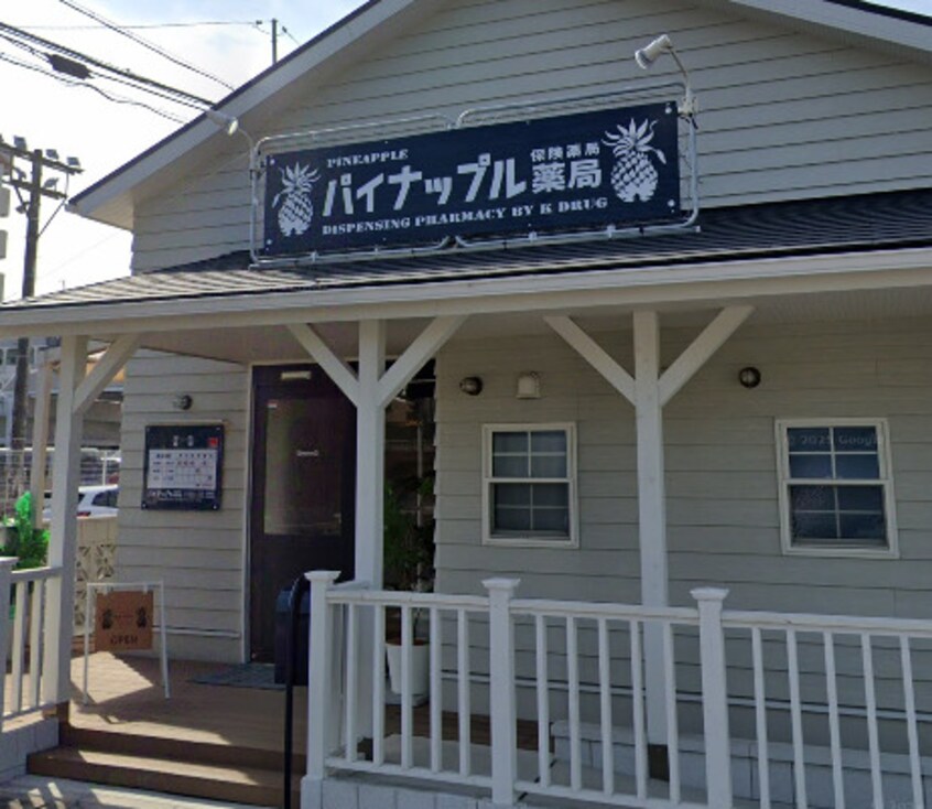 パイナップル薬局(ドラッグストア)まで456m 名古屋市営地下鉄名城線/茶屋ケ坂駅 バス8分下坪下車:停歩8分 1階 築1年
