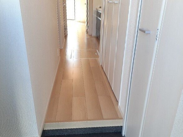  ルナリア（Ｌｕｎａｒｉａ）