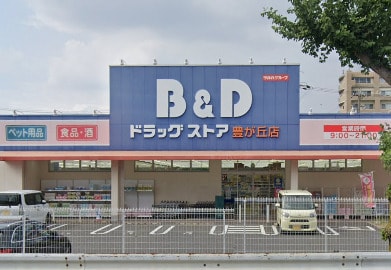 B&Dドラッグストア 豊が丘店(ドラッグストア)まで704m プラムヴィレッジ