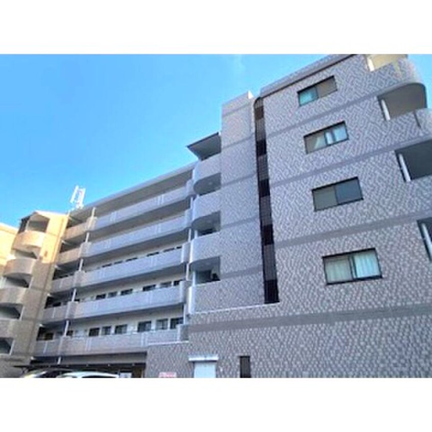  アルカディアV(5)