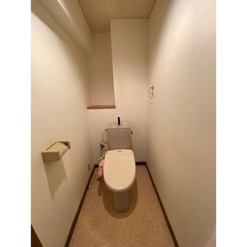  アルカディアV(5)