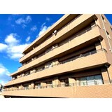 アルカディアⅧ(8)