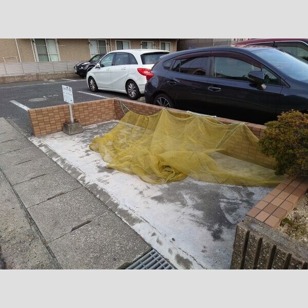  カーサコモダ新舞子　B