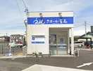 クオール薬局知多平野店(ドラッグストア)まで300m プリマステラ
