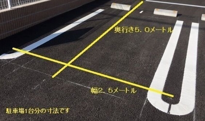  パーシモンⅡ