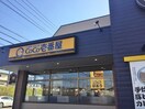 CoCo壱番屋 東海加木屋店まで600m パーシモンⅡ