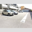  クリプトメリア