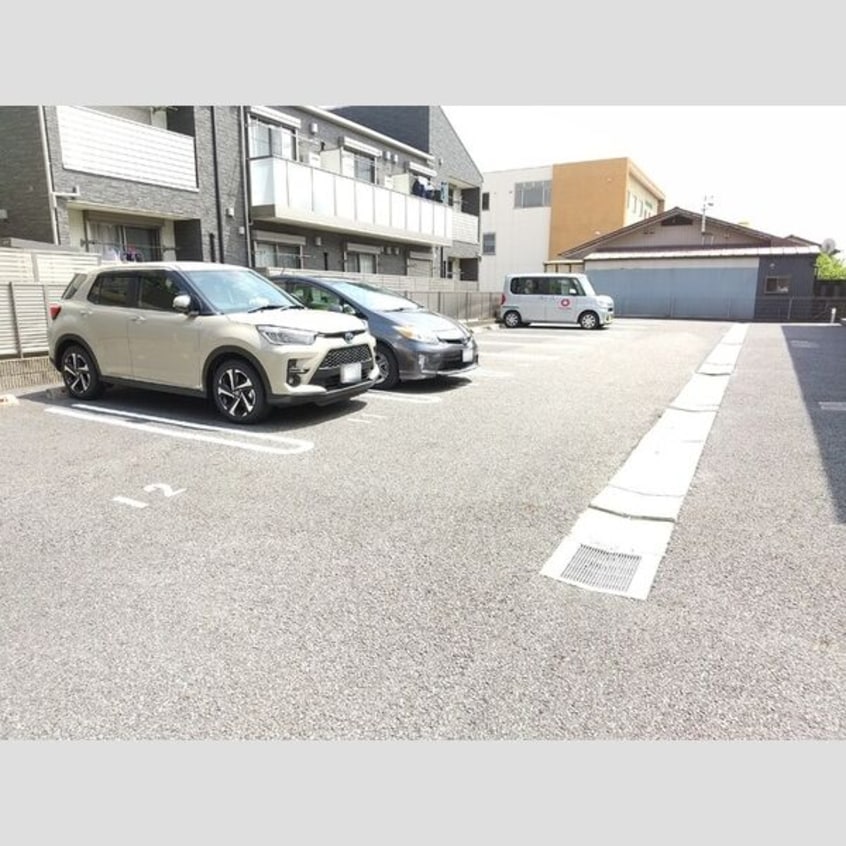  クリプトメリア