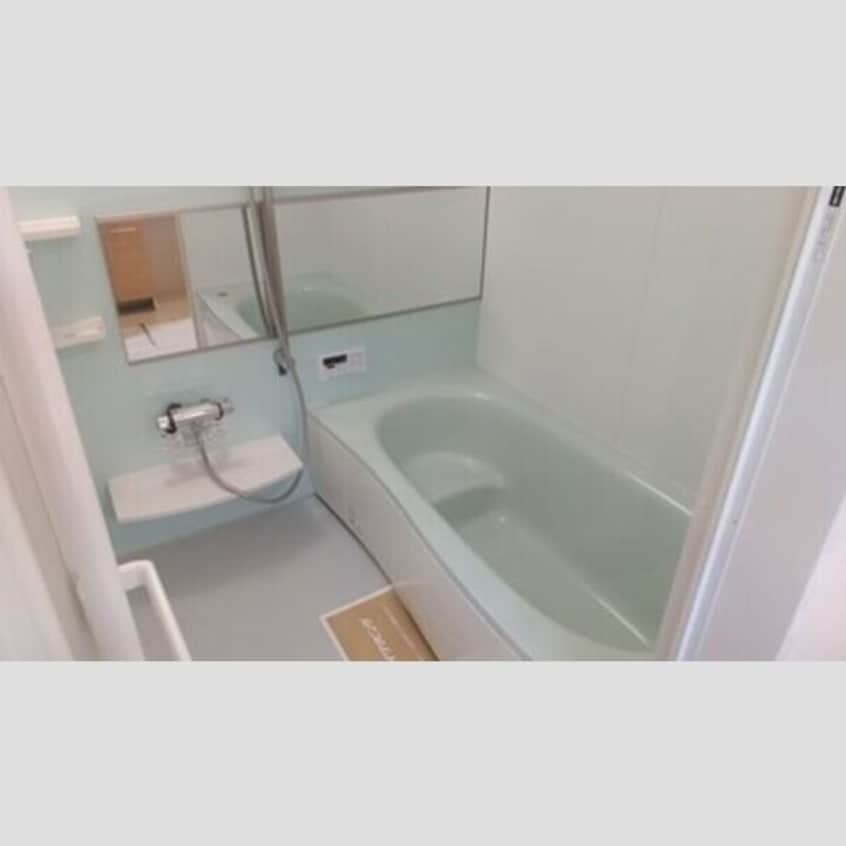  クリプトメリア