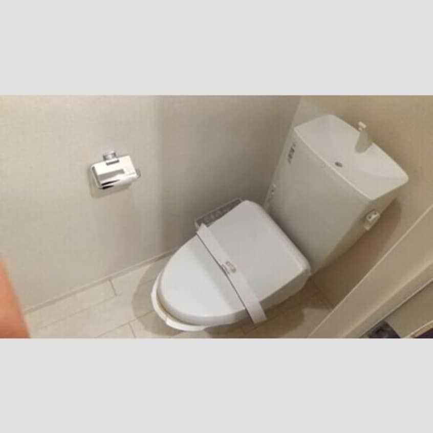  クリプトメリア