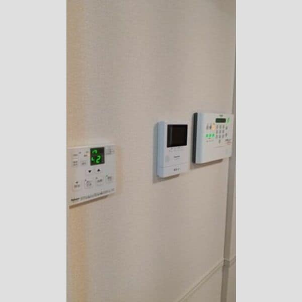  クリプトメリア