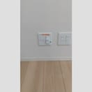  クリプトメリア