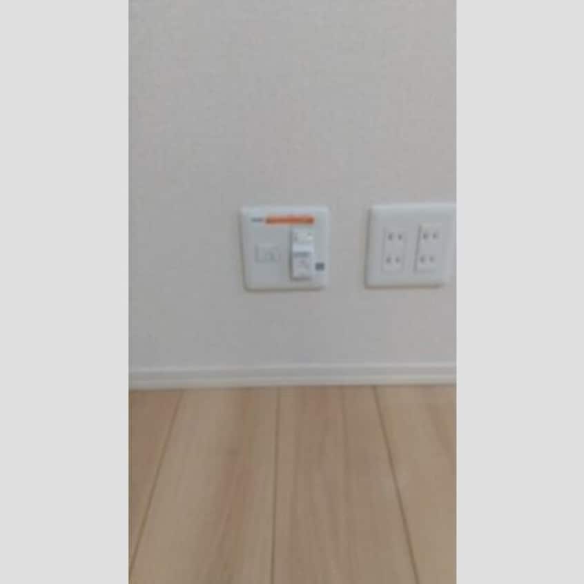  クリプトメリア